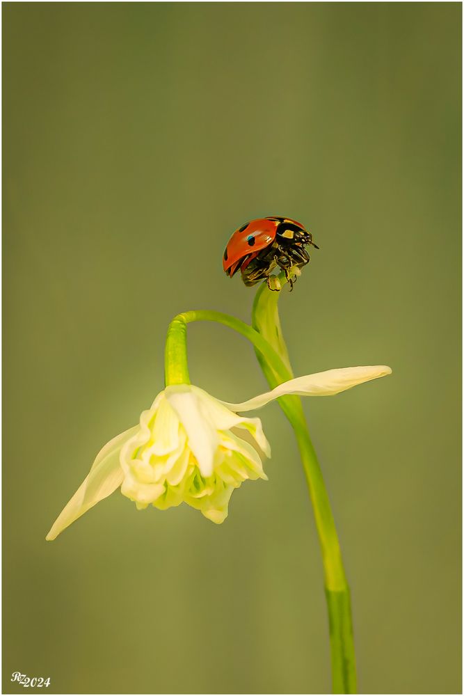 Frühling