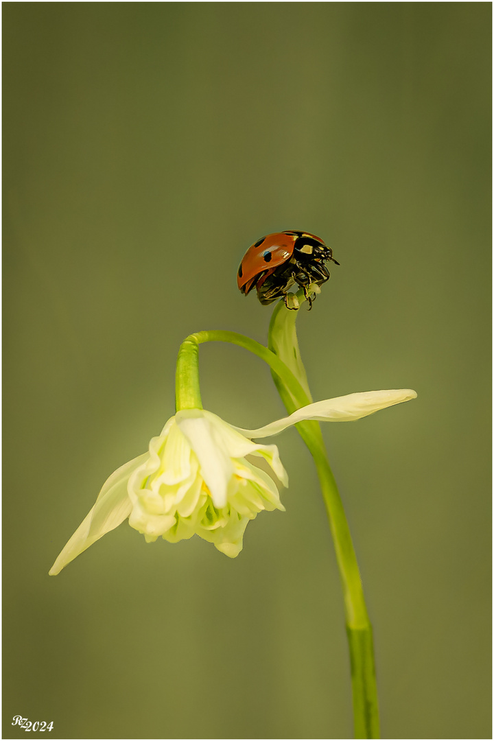 Frühling