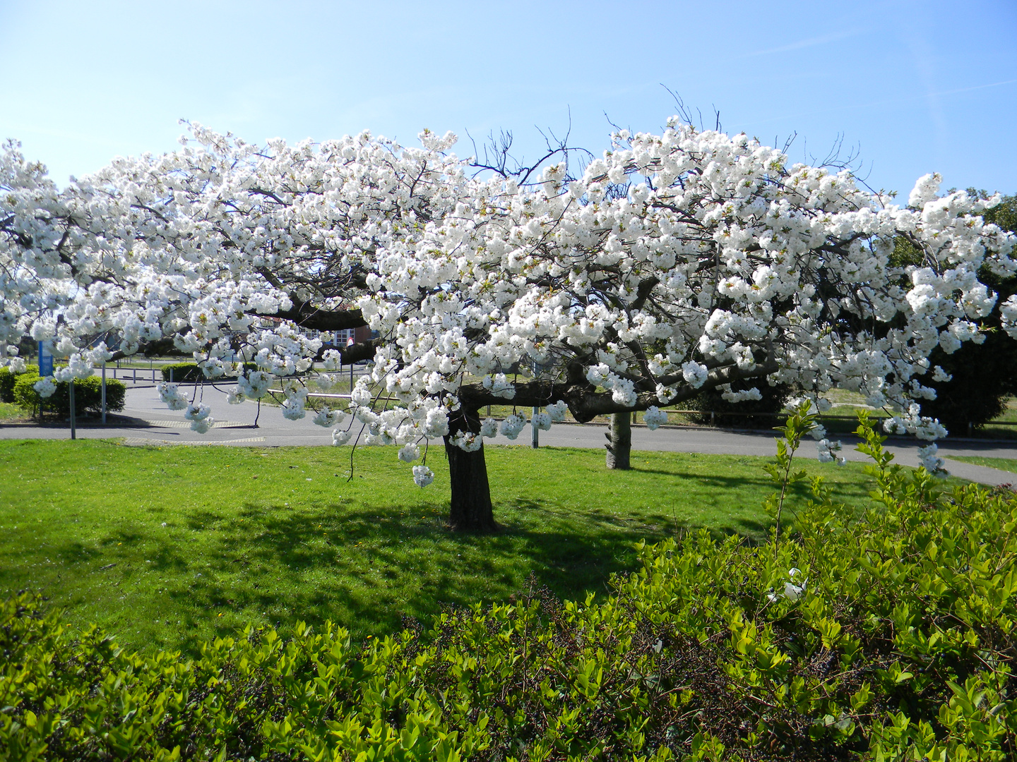 Frühling