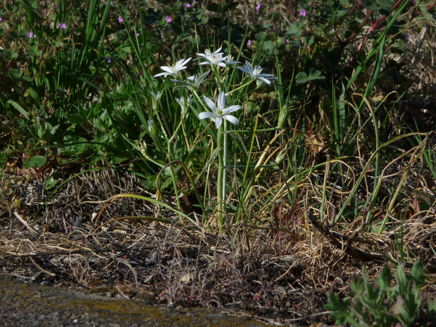 Frühling