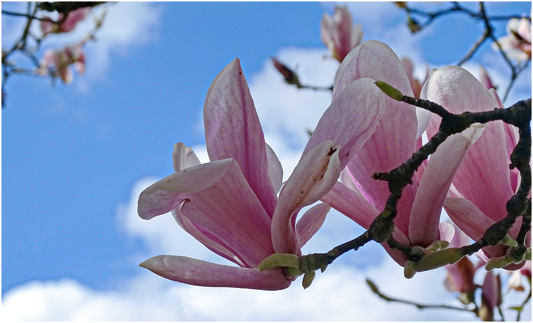 Frühling