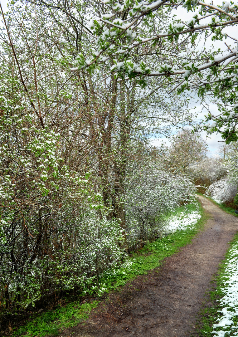 Frühling