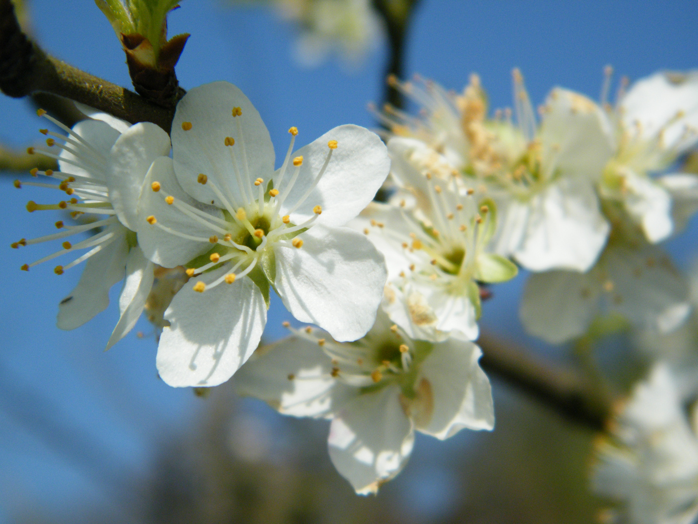 Frühling