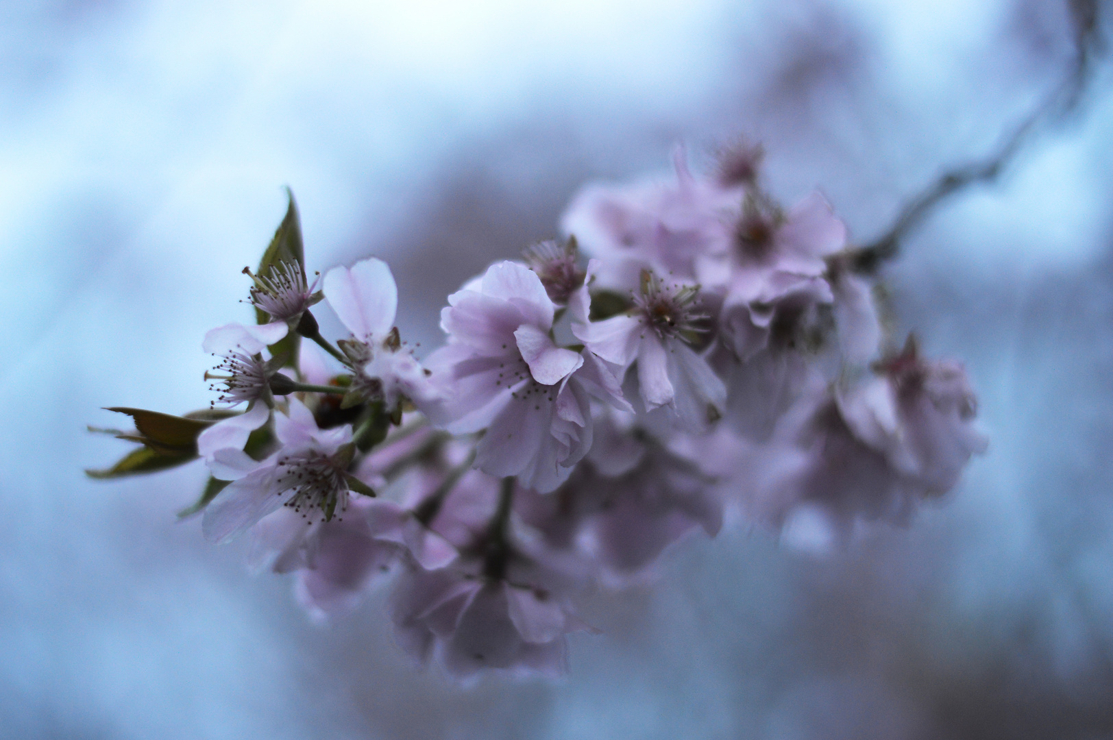 Frühling