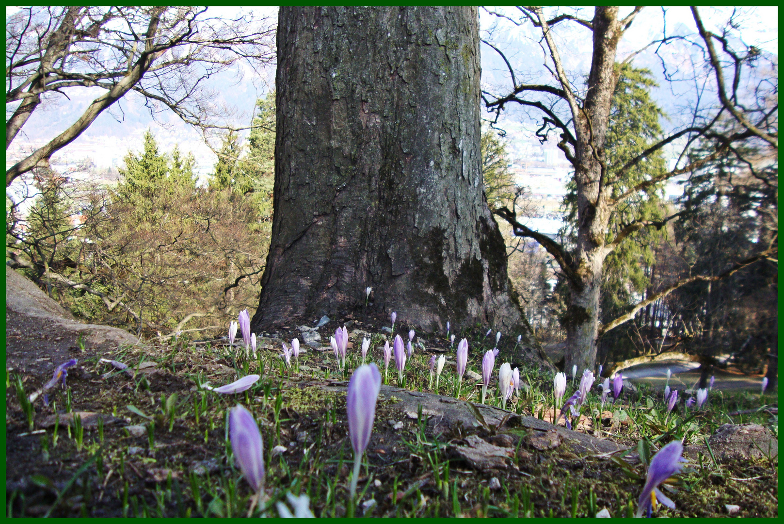 Frühling