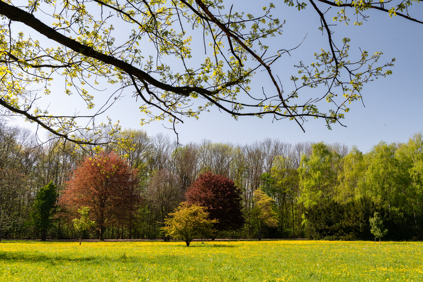 Frühling