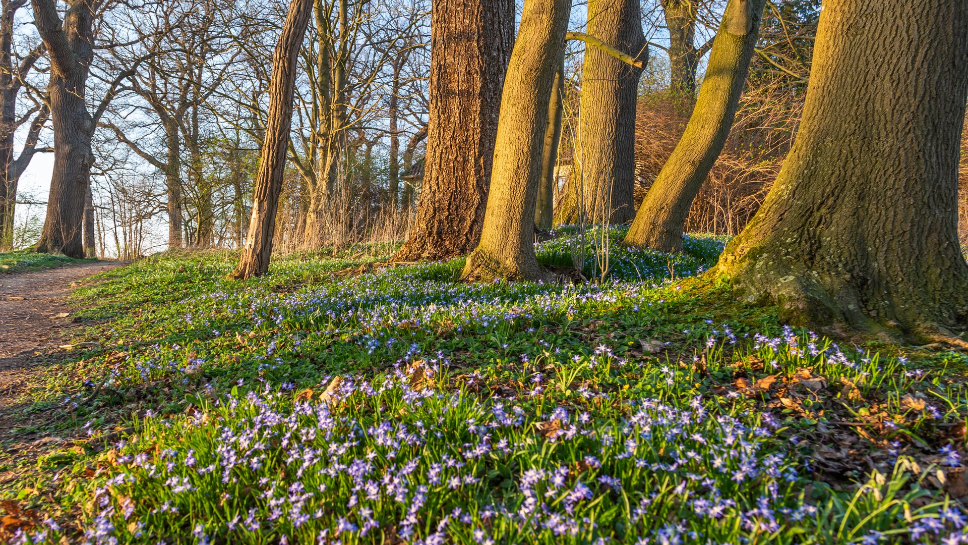 Frühling