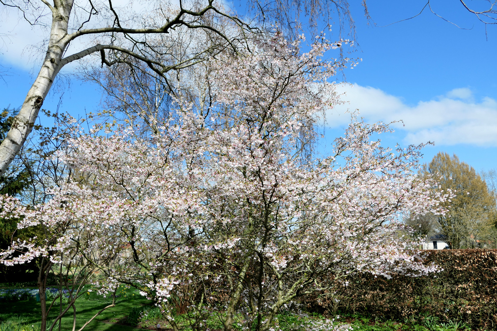 Frühling