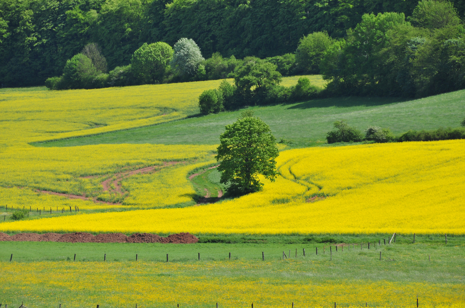 Frühling