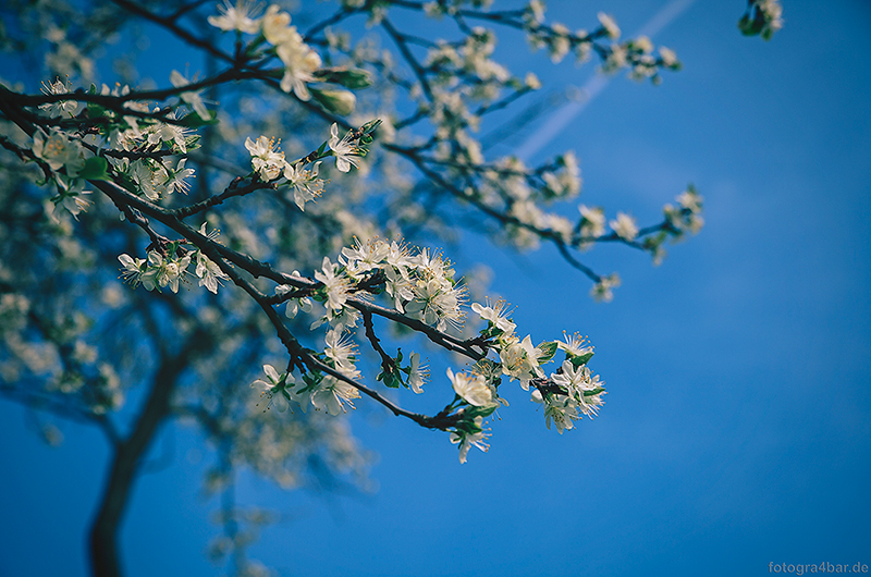 Frühling!