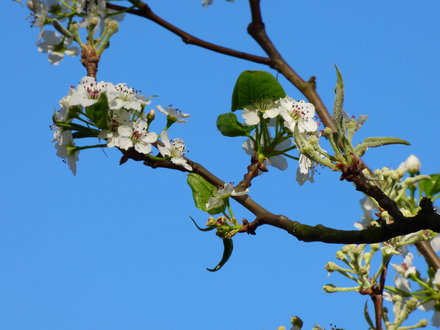 Frühling