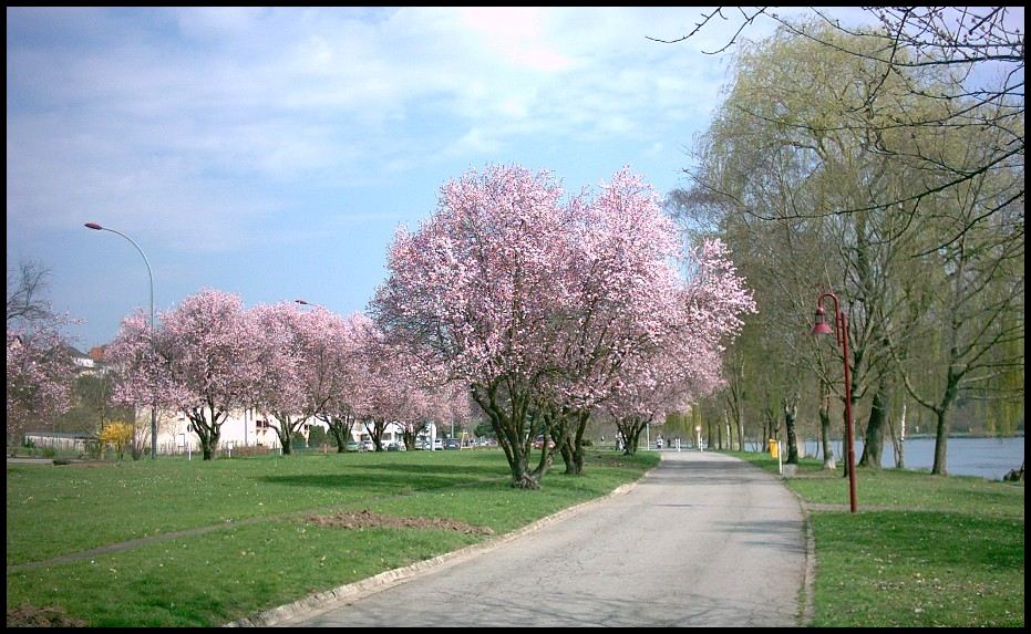 Frühling