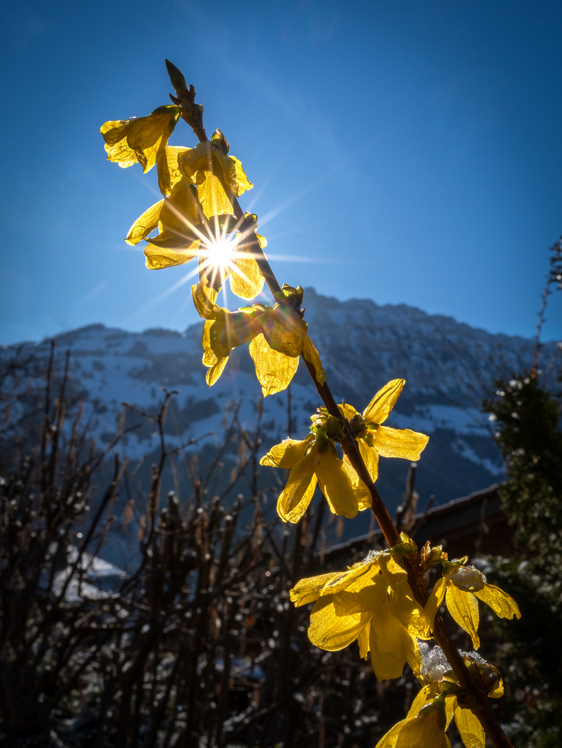 Frühling