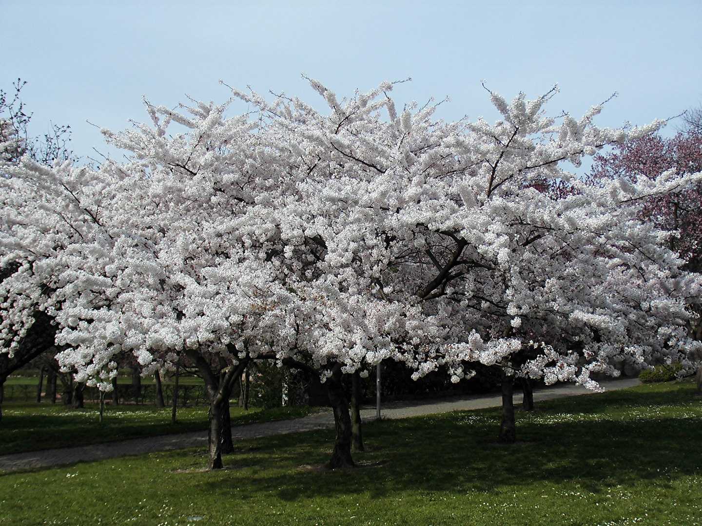 Frühling