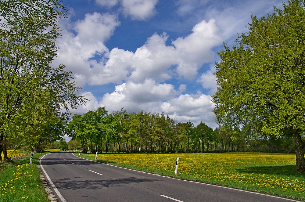 Frühling 27.4.14