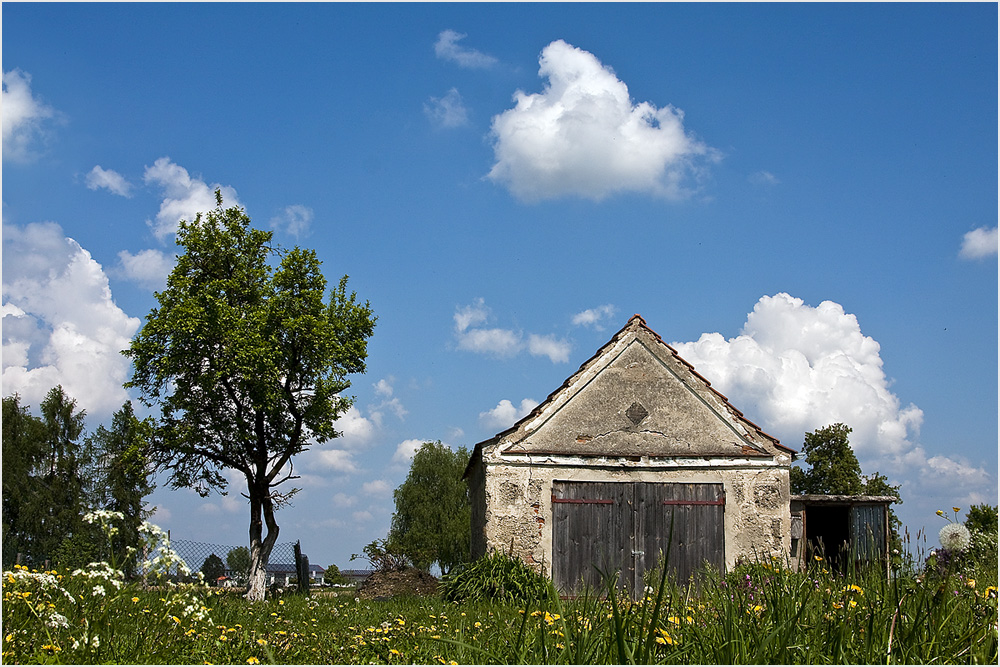 Frühling