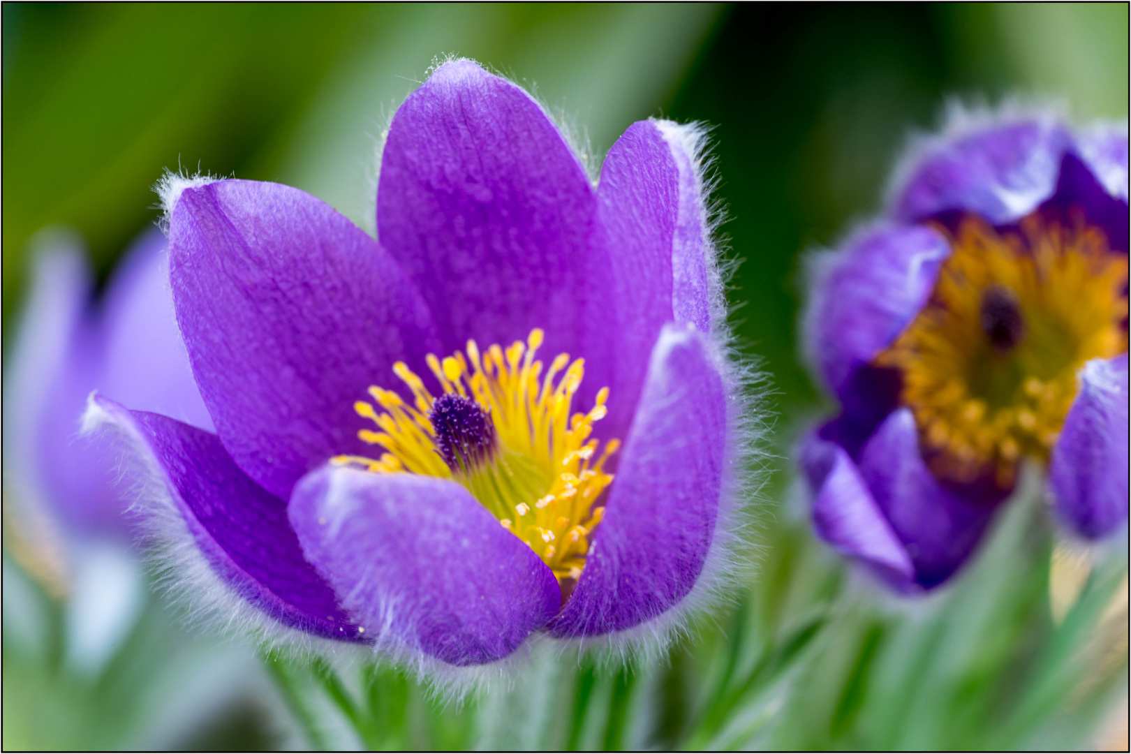 Frühling