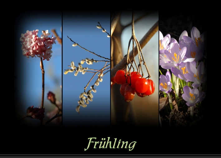 ~~~ FrÜhLiNg~~~