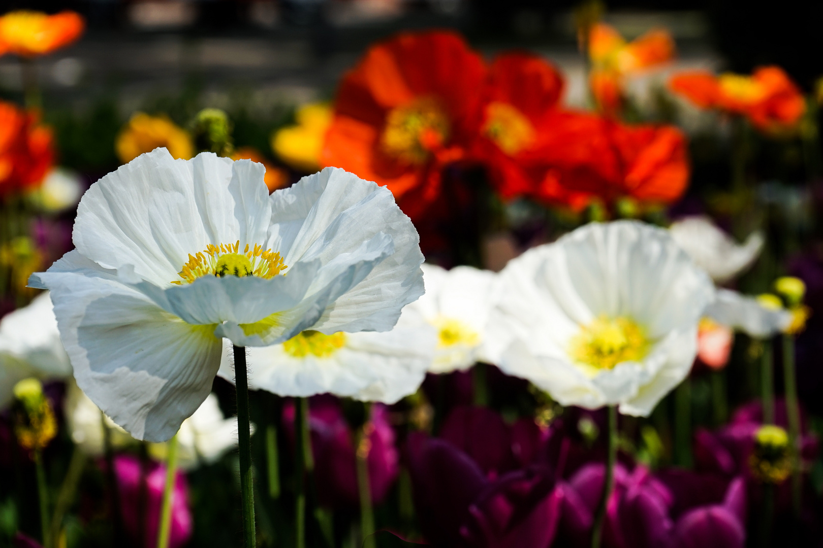 Frühling