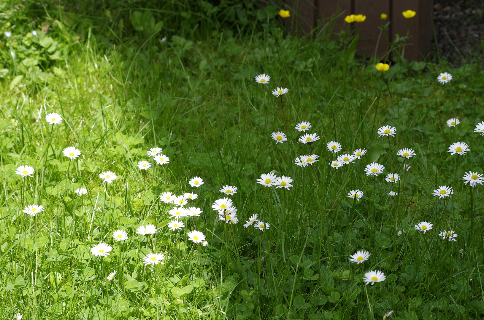 ...Frühling