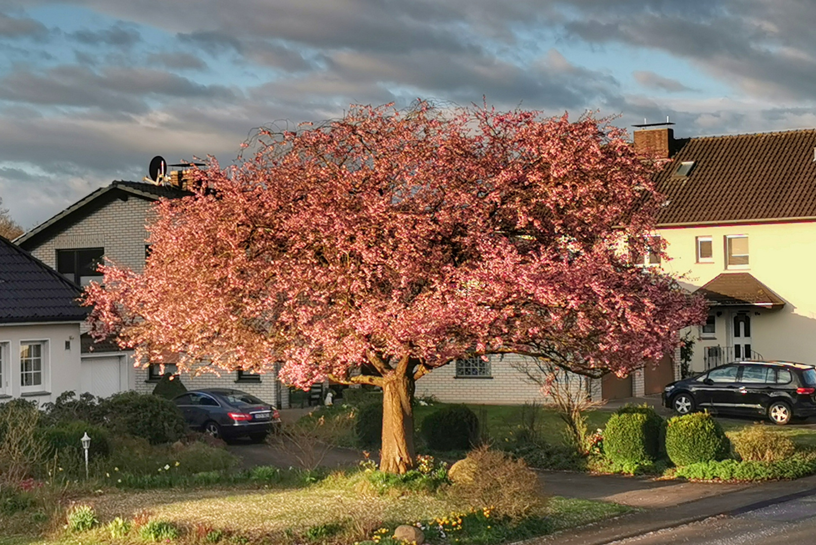 Frühling