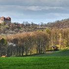 FRÜHLING 