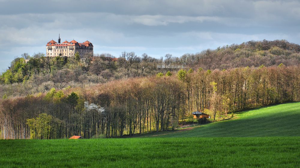 FRÜHLING 