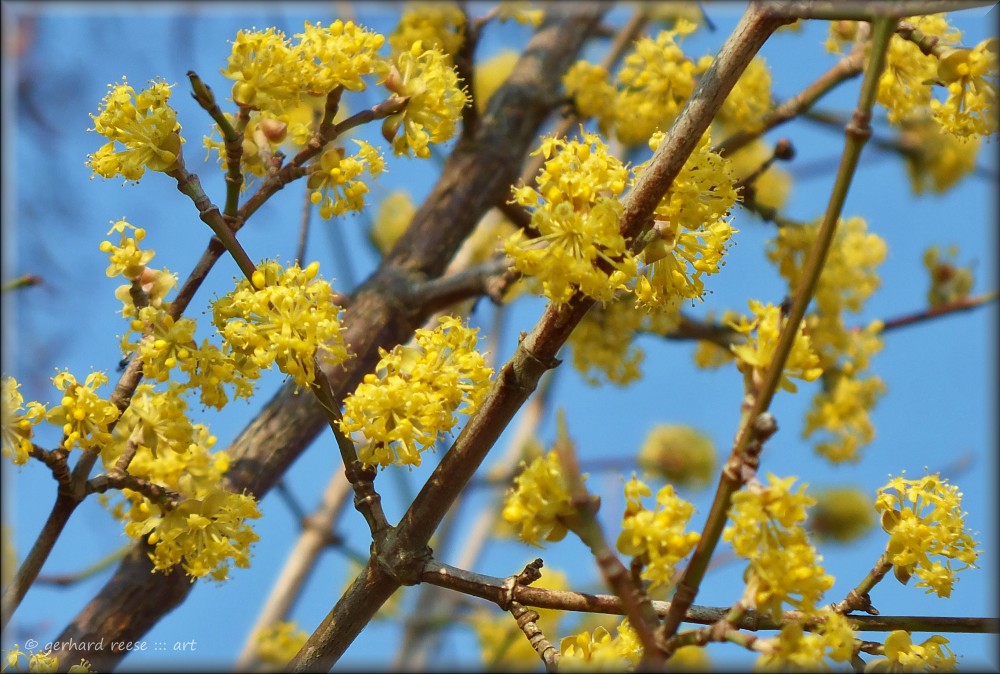 Frühling