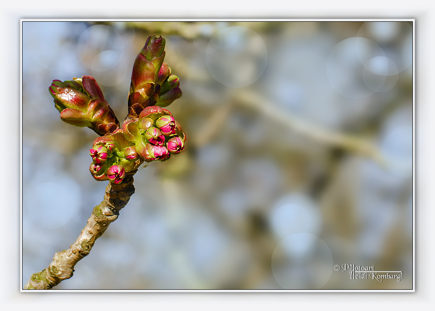 FRÜHLING