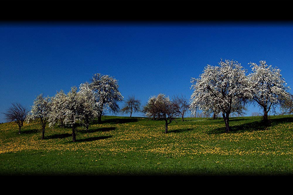 Frühling...