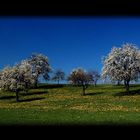 Frühling...