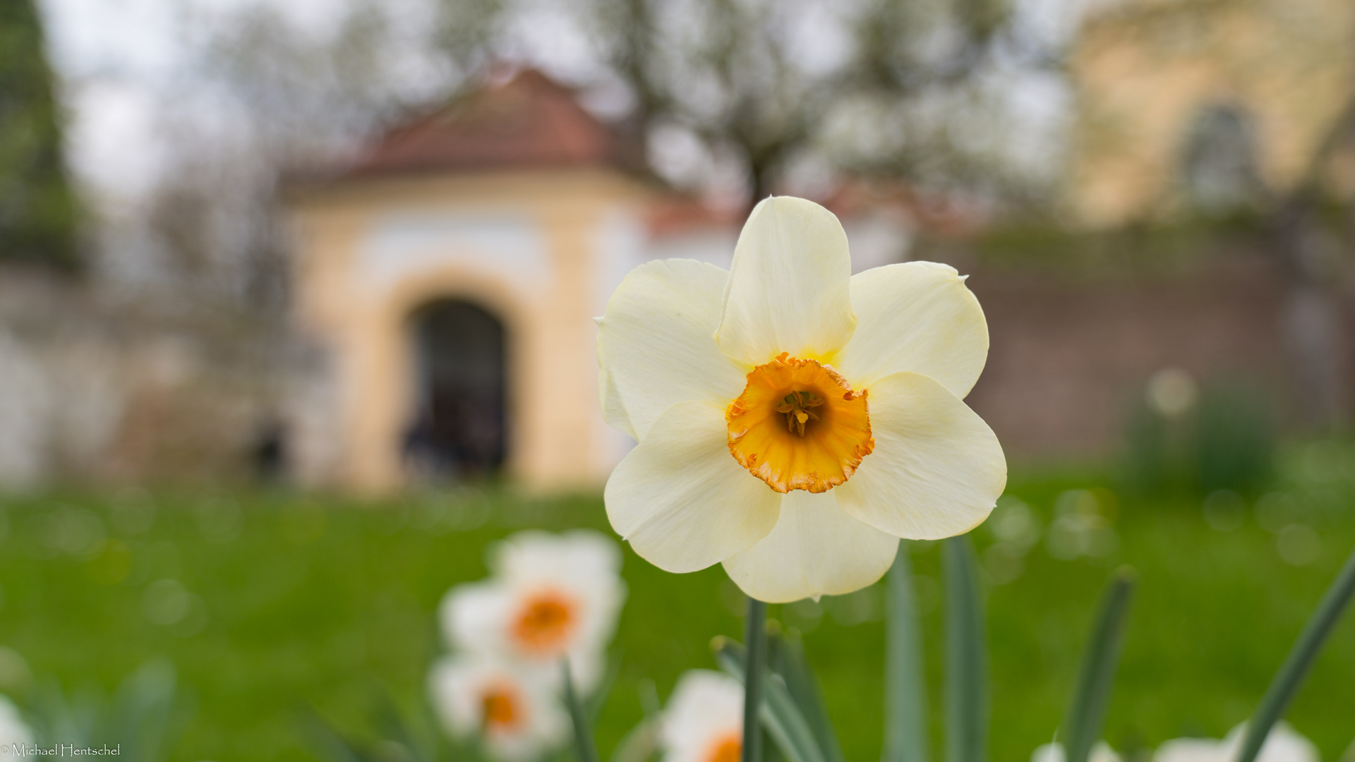 Frühling