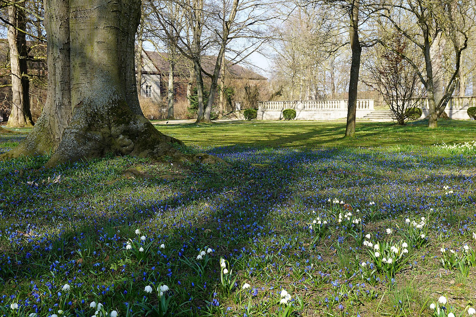 Frühling