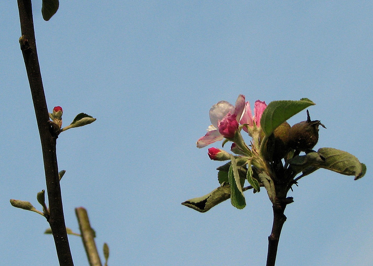 Frühling