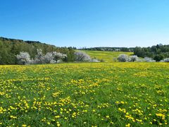 Frühling