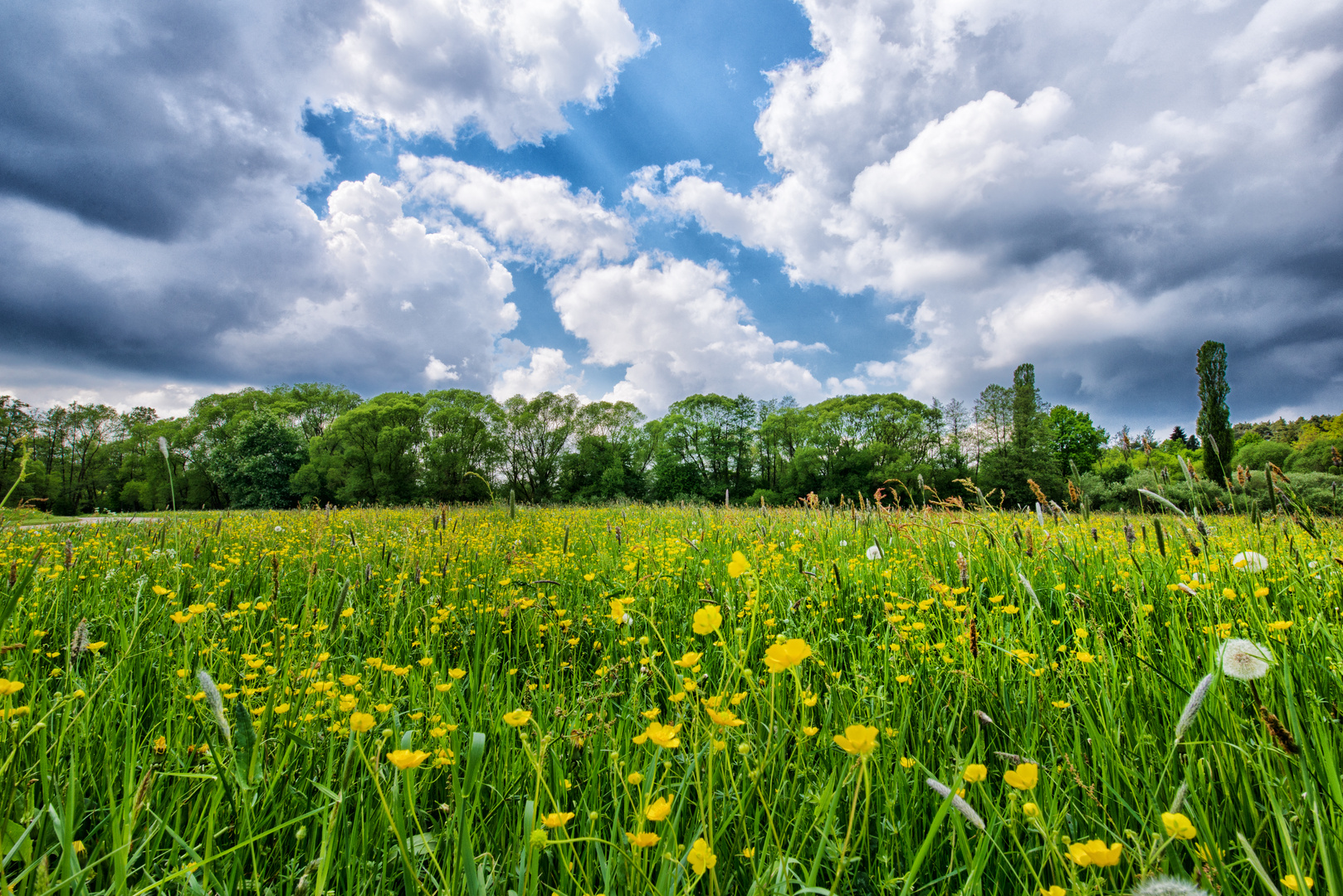 Frühling