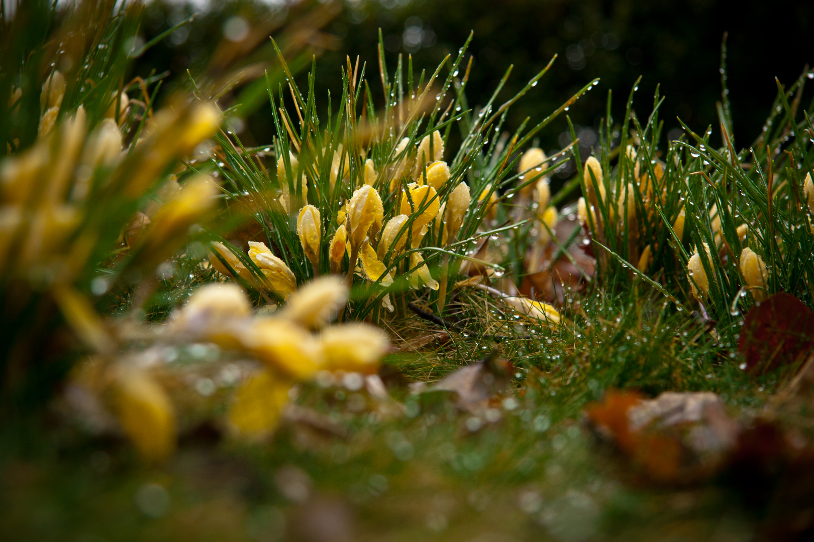 Frühling?