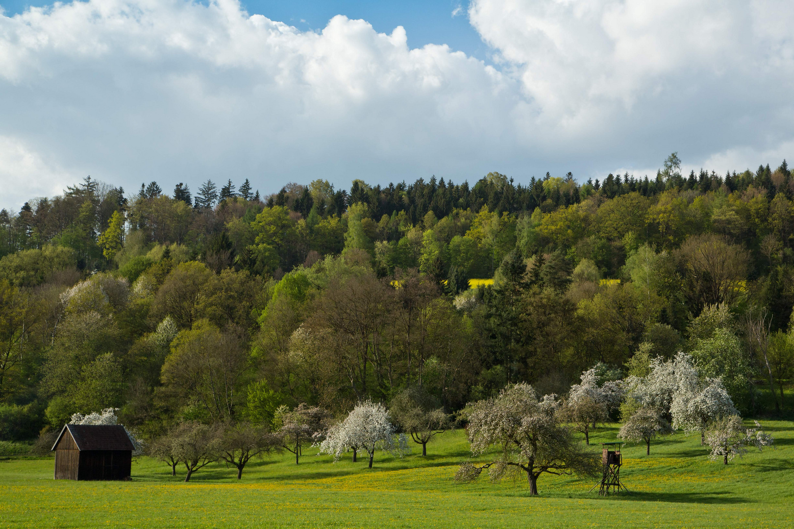 Frühling 3