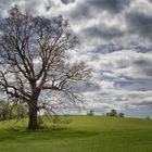 Frühling 