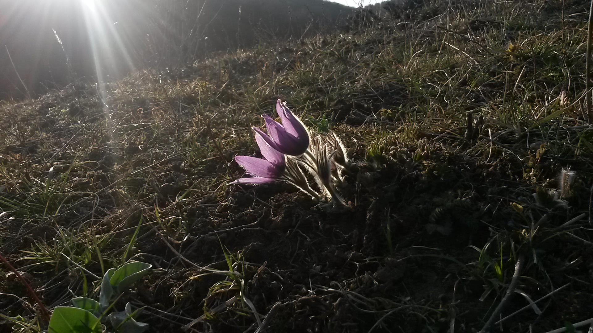 Frühling!