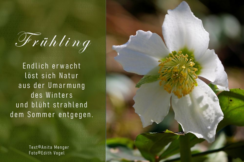 Frühling...