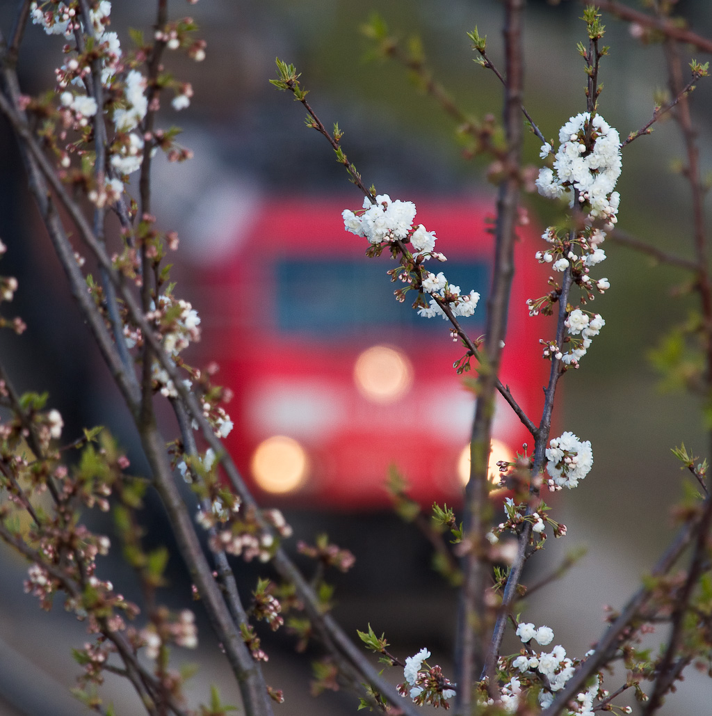 Frühling ...