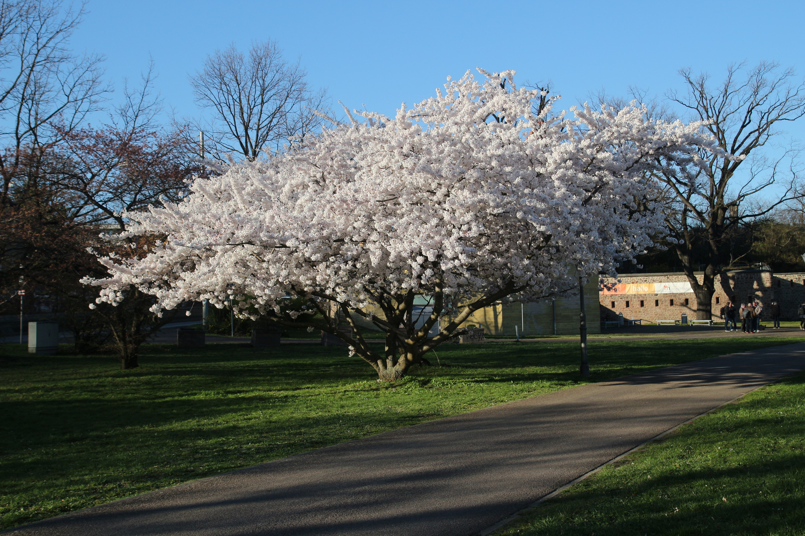 Frühling