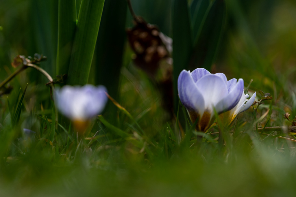 Frühling 