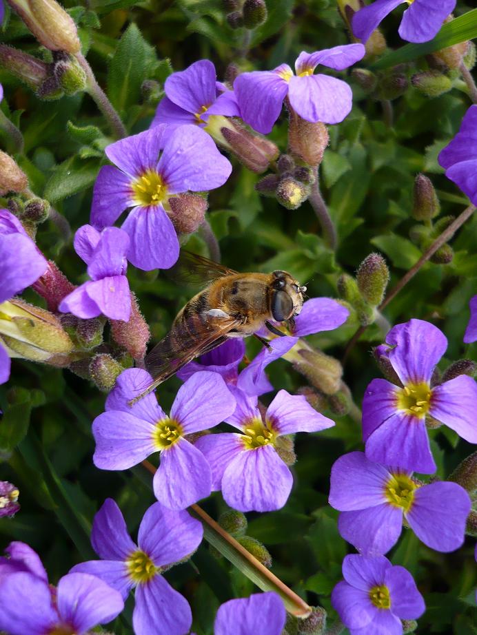 Frühling