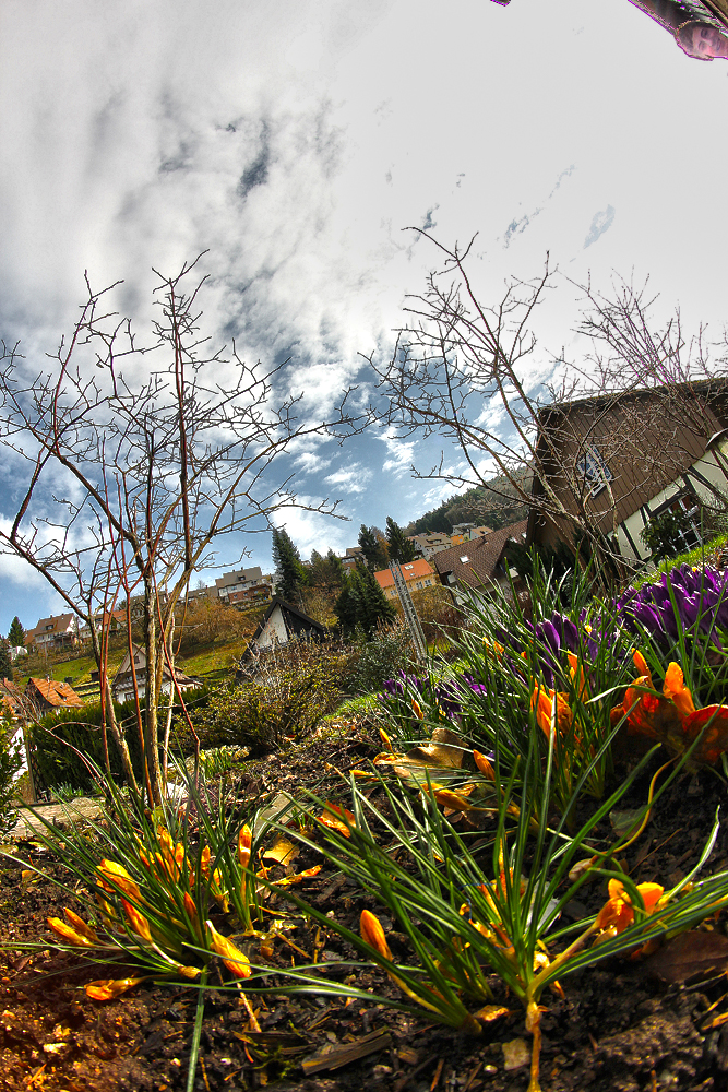 [...Frühling...]