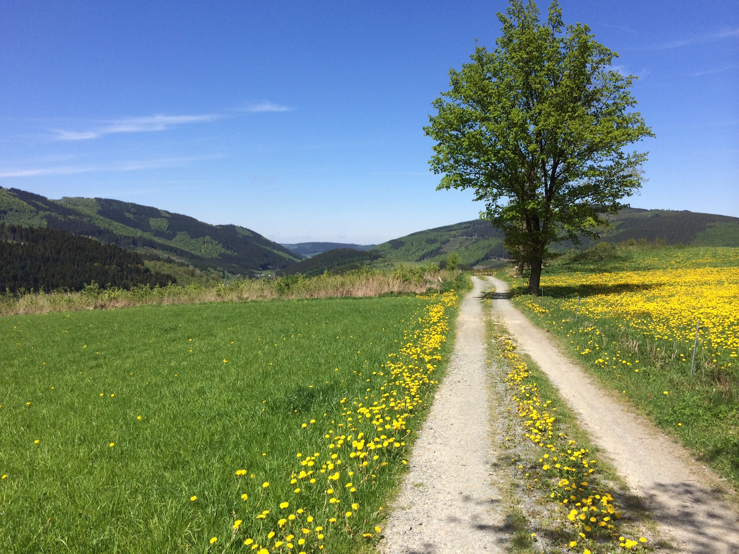 Frühling