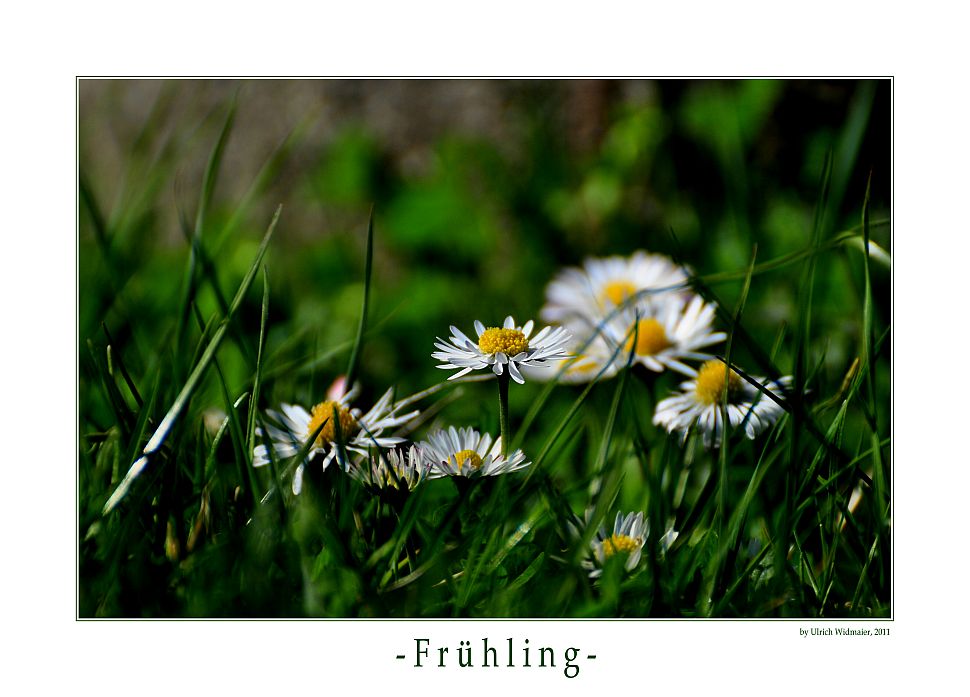 - Frühling -