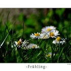 - Frühling -