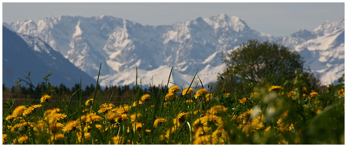 Frühling